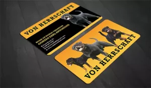 This image shows business card 11.