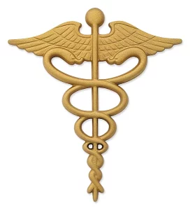 This image shows cast mtl cadusius.