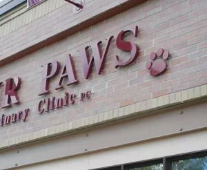 This image shows fourpawscloseup.