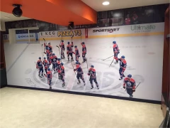 Sports Team Wall Mural This image shows sports team wall mural.