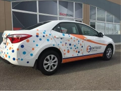 Toyota Camery Vinyl Graphics This image shows toyota camery vinyl graphics.