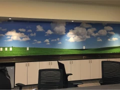 Boardroom Wall Mural Vinyl Print This image shows boardroom wall mural vinyl print.