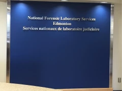 Brushed Chrome 3D Letters For Reception Wall This image shows brushed chrome 3d letters for reception wall.