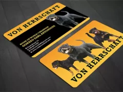 Business Card 11 This image shows business card 11.