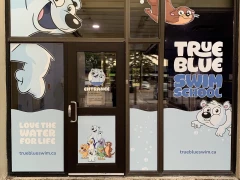 Business Window Vinyl Graphics This image shows business window vinyl graphics.