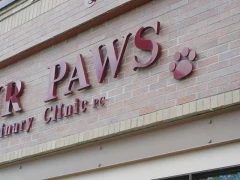 Fourpawscloseup This image shows fourpawscloseup.