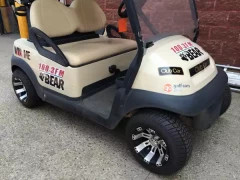 Golf Cart Decals This image shows golf cart decals.