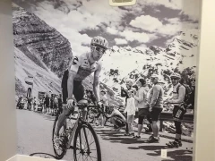 Home Gym Custom Wall Mural Vinyl Print This image shows home gym custom wall mural vinyl print.