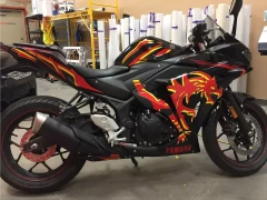 Motorcycle Graphics 1 This image shows motorcycle graphics 1.