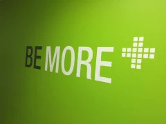 Wall Lettering This image shows wall lettering.