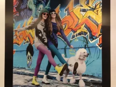 Wall Vinyl Mural Graphic This image shows wall vinyl mural graphic.