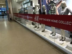 Window Vinyl Decals This image shows window vinyl decals.